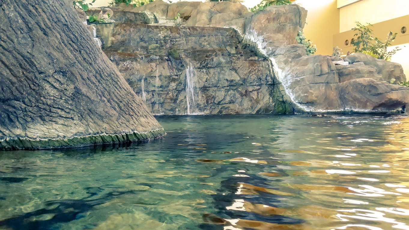 Rockford Aquarium Makes a Splash Rock River West Casino Group